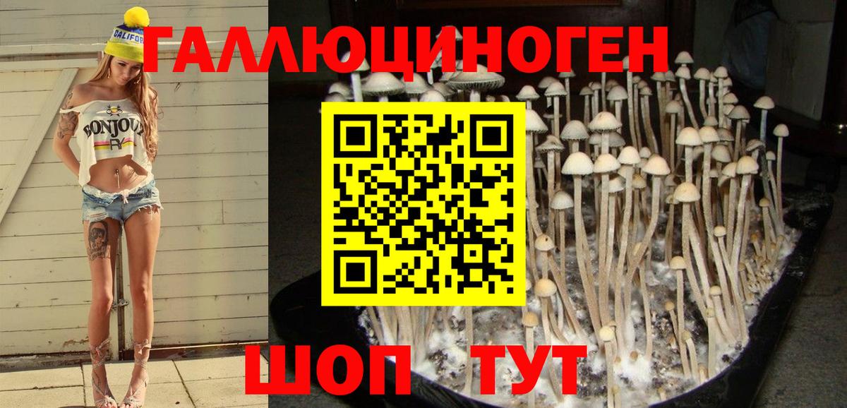 Галлюциногенные грибы Psilocybine cubensis  Вход с VPN  Галлюциногенные грибы прущие грибы  Верхний Уфалей 