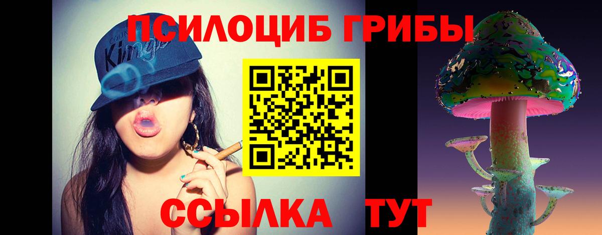 Псилоцибиновые грибы Cubensis Верхний Уфалей